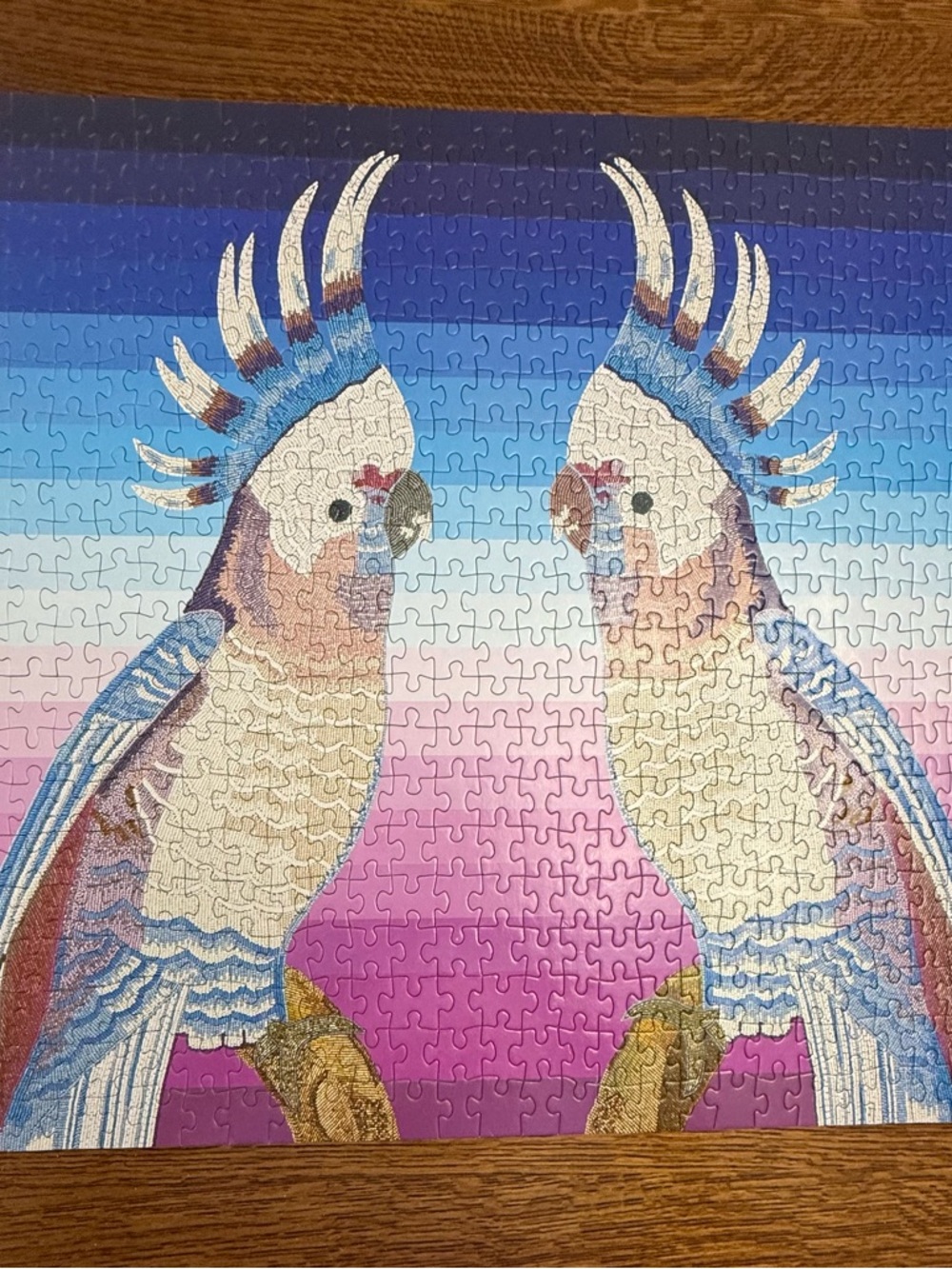 Galison Jonathan Adler Parrots 500 Piece Puzzle Complete